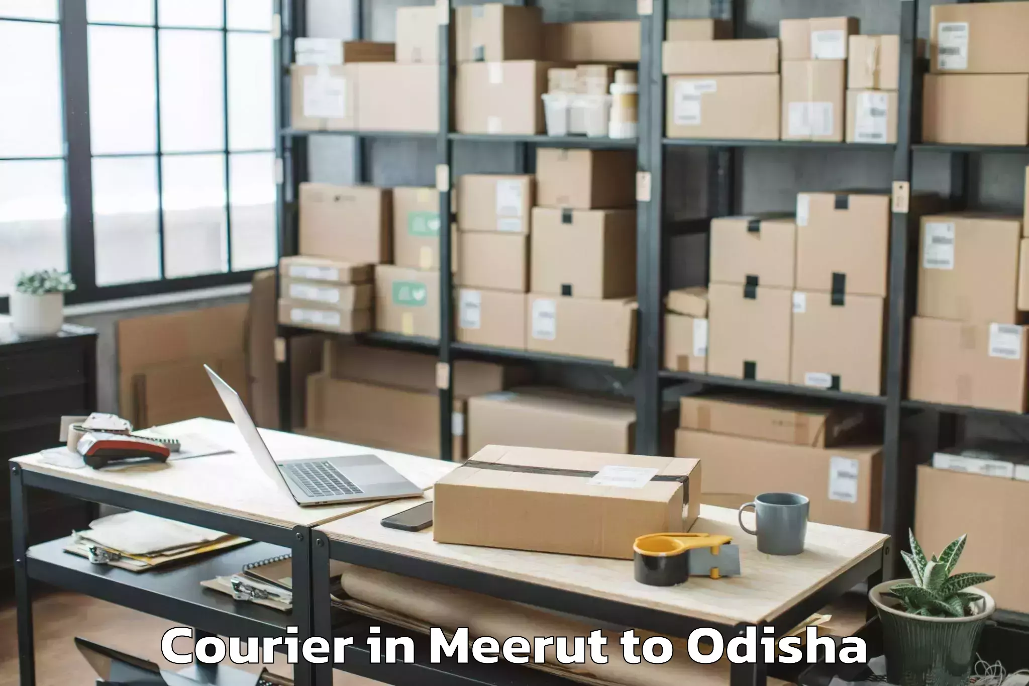 Efficient Meerut to Khordha Courier